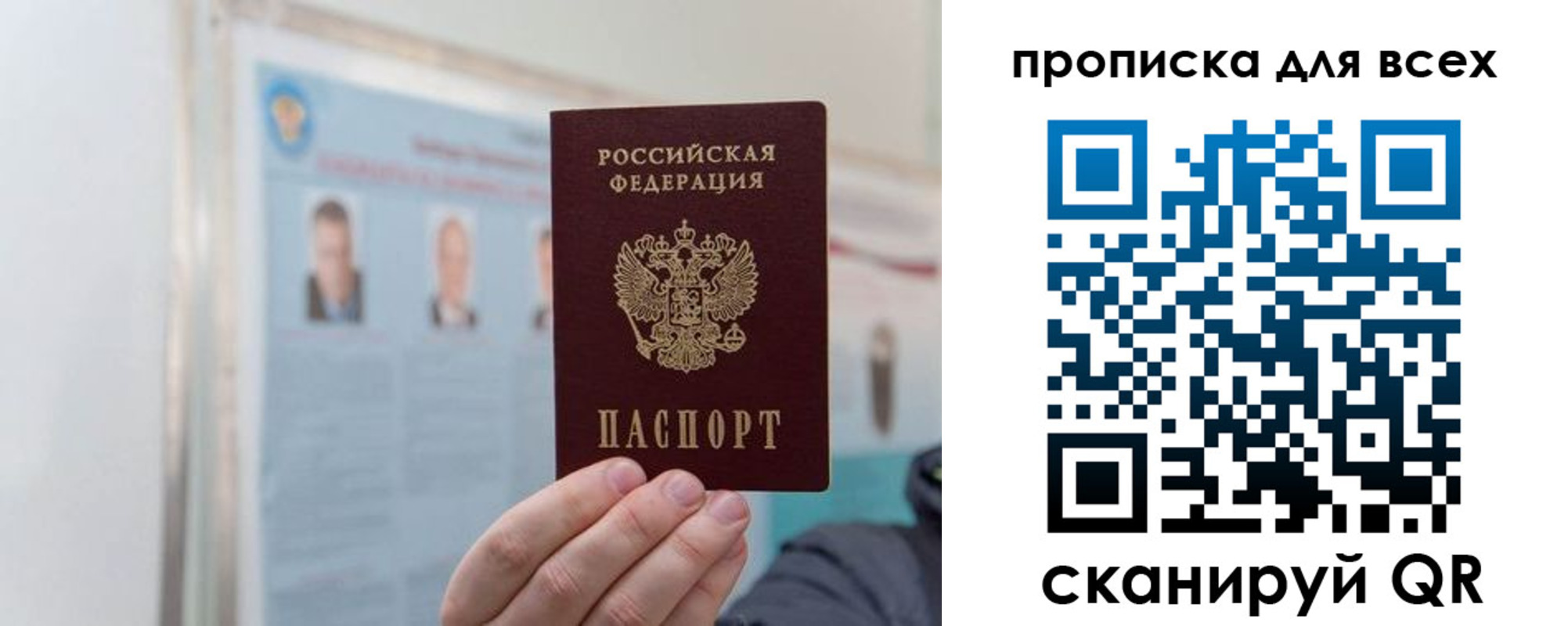 временная регистрация поиск в Владимирской области